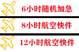 阿里普兰机场物流快递公司,专业空运当天件